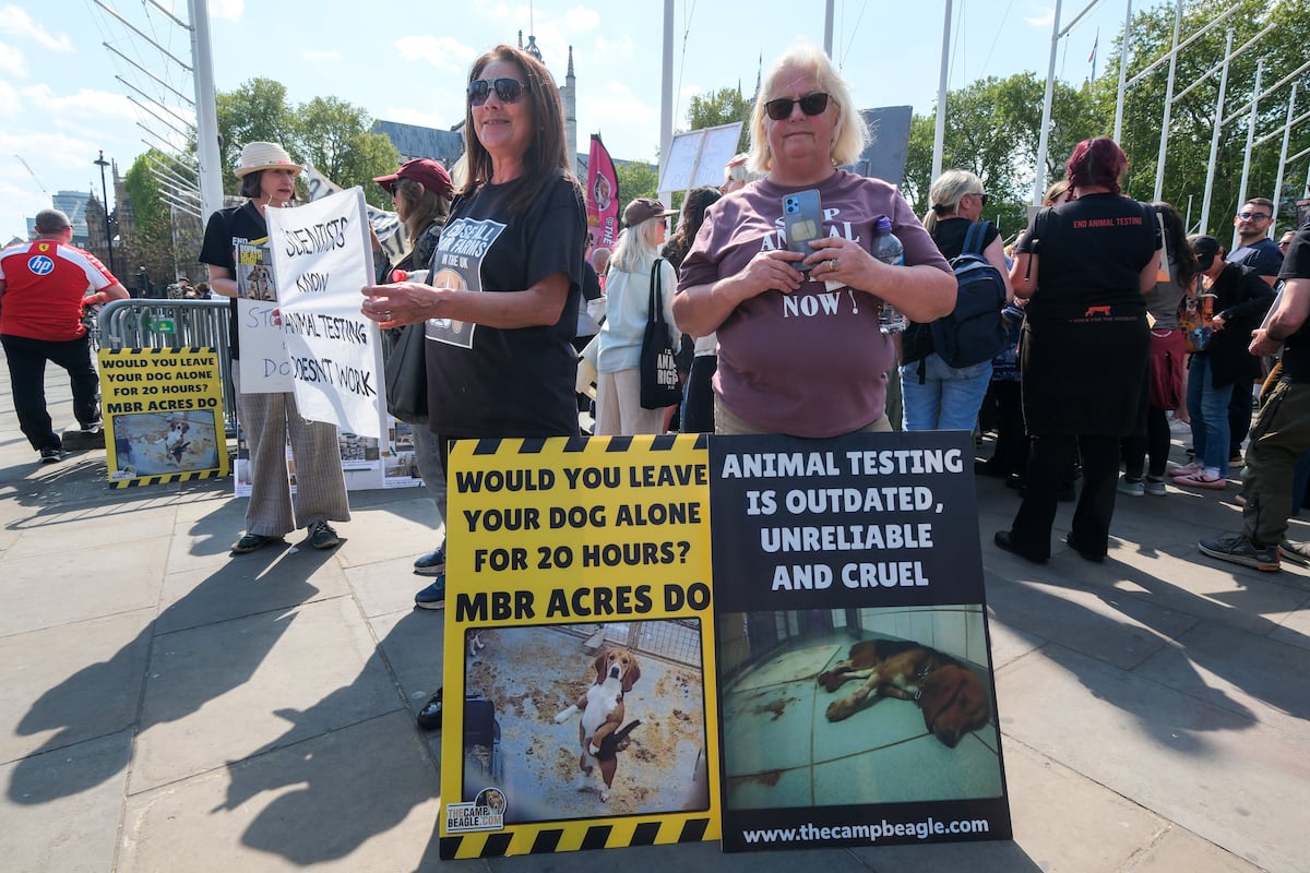 Over 1,000 beagles rescued from US research facility
