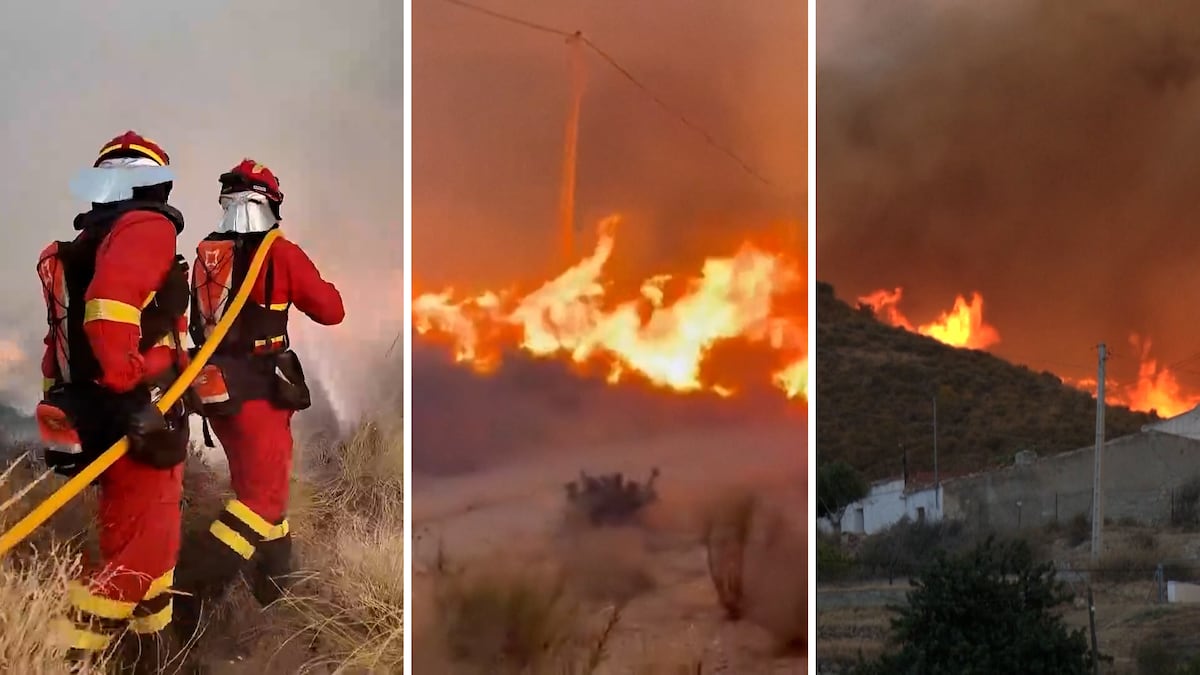 Los Gallardos (Almería) orman yangını görüntüleri