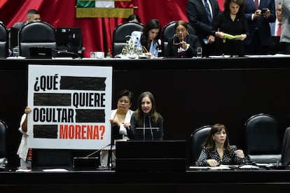 Anayeli Muñoz Moreno, diputada de Movimiento Ciudadano durante la sesión en la Cámara de Diputados, el 20 de noviembre 2024. 