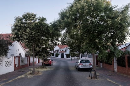 Una calle con las típicas viviendas de carácter andaluz y mediterráneo en la Colonia Campamento.