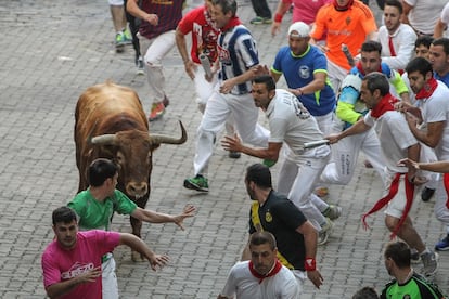 Los toros de Jandilla, durante el quinto encierro.