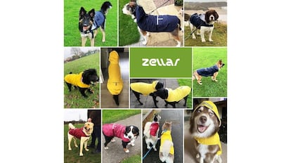 Impermeable para perros.