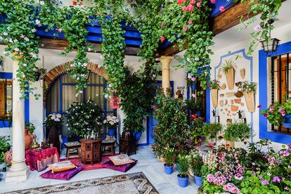 Zambombas y anís en Córdoba. No es primavera, pero numerosos patios particulares e institucionales de Córdoba abren sus puertas a zambombas y botellas de anís, como se hacía en pleno siglo XIX, para celebrar de la Fiesta de los Patios de Córdoba en Navidad. La celebración conmemora el 6º aniversario de la declaración de la fiesta como Patrimonio Cultural Inmaterial de la Humanidad. Será del 18 al 29 de diciembre. Y hay hasta seis rutas diferentes para recorrer. Más información en: Navidad en los patios de Córdoba.