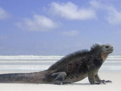 Érase una vez en medio del Pacífico... las islas Galápagos