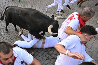 Un toro pisa a un corredor durante el séptimo encierro de los sanfermines.