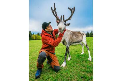 Juha Olavi Kujala, en la foto, es el último representante de cinco generaciones de una familia de pastores de renos, un oficio que en el norte de Finlandia se trasmite de padres a hijos. Estos animales de las regiones subárticas son uno de los símbolos del país de los 180.000 lagos, al igual que Laponia, las auroras boreales o los copos de nieve. Los finlandeses lograron su independencia de Rusia el 6 de diciembre de 1917, poco después de que la Revolución de Octubre colapsara el imperio de los zares. Pertenecía a Rusia desde 1809 y anteriormente era territorio sueco. El país escandinavo celebra sus 100 años con proyectos como el nuevo parque nacional de Hossa, 11.000 hectáreas de lagos y bosques boreales como los que inspiraron al compositor Jean Sibelius la suite Karelia, una serie de piezas orquestales por las que sopla el aliento salvaje de la taiga. Sibelius y el arquitecto Alvar Aalto han sido dos de las figuras más prominentes de un país cuyos niños estudian en uno de los mejores sistemas educativos del mundo.