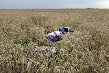 En medio de un trigal se ve el cadáver de uno de los pasajeros del vuelo de Malaysia Airlines derribado en una zona situada al este de Ucrania.