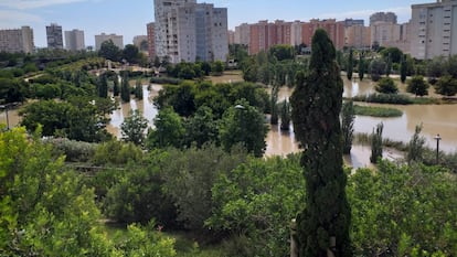 El parque de La Marjal, de Alicante, una obra hidráulica que sirve como nuevo pulmón verde para la ciudad y da solución a los problemas de inundaciones de la zona de la playa de San Juan.