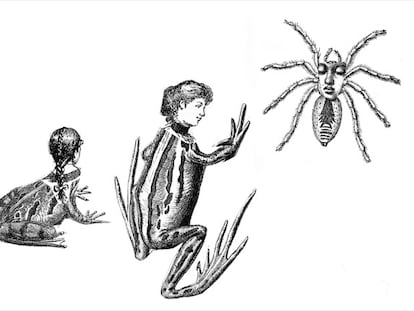 'Una araña sonámbula', ilustración de 'El libro de las fábulas y otras fabulaciones'.