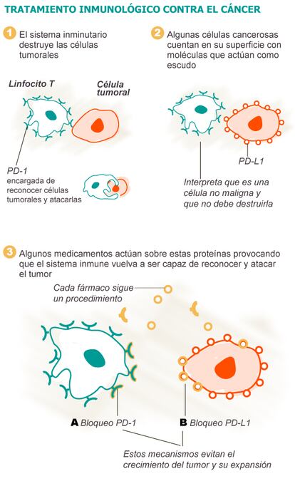 Fuentes: ‘New England Journal of Medicine’ y elaboración propia.