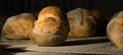 Belleza rústica del 'pa ronyó' en el horno, Torregrossa (Lleida)