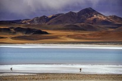 Andarilhos no deserto de Atacama, no Chile.