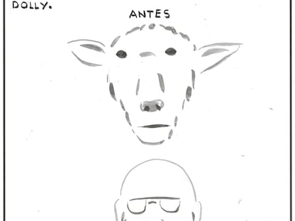 El Roto