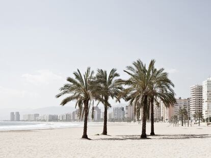 En la avenida de Castelló de Cullera (Valencia) se suceden edificios de apartamentos con vistas a una playa vacía.