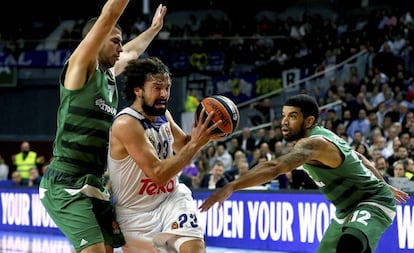 Sergio Llull entra a canasta ante Panathinaikos.