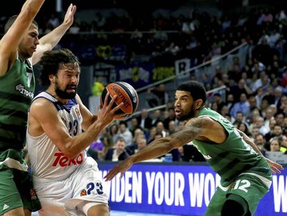 Sergio Llull entra a canasta ante Panathinaikos.