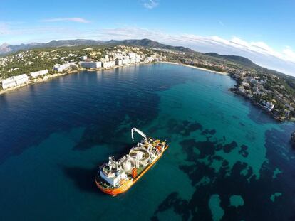 Barco del proyecto El Bosque para salvar a la posidonia, especie mediterránea en peligro de extinción, en las islas Baleares.