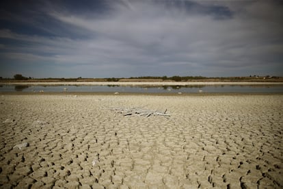 El suelo reseco junto a la laguna de Navaseca, en Ciudad Real.