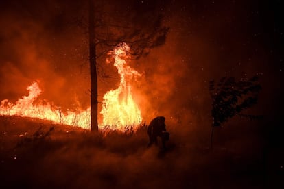 Em junho de 2017, um devastador incêndio florestal na cidade central de Pedrógão Grande acabou com a vida de 64 pessoas e feriu mais de 250. O incêndio foi o pior desastre na história moderna de Portugal.