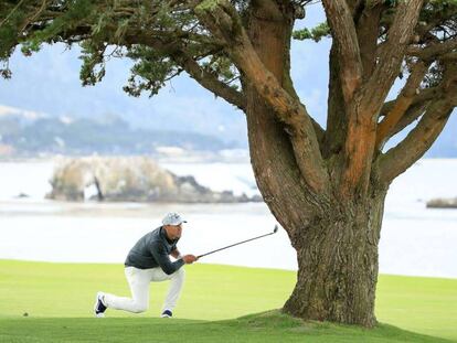 Koepka golpea junto a un árbol.