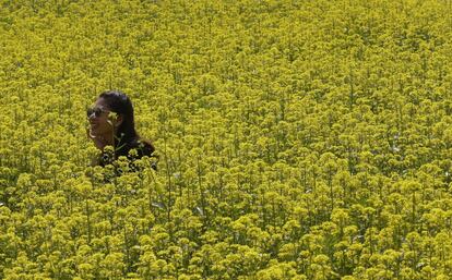 Una mujer en medio de un campo de flores en Seúl, Corea del sur, donde se celebrará un festival de la flor el 14 y 15 de mayo.