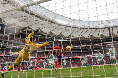 MADRID, 03/03/2024.- El delantero del Atlético de Madrid Álvaro Morata (c) marca el segundo gol para su equipo ante el Betis durante el partido de la jornada 27 de LaLiga EA Sports entre el Atlético de Madrid y el Betis, este domingo en el estadio Cívitas Metropolitano en Madrid.- EFE/ Mariscal
DEP030324