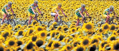 Los ciclistas del Phonak protegen a su líder (en el centro) entre un mar de girasoles.