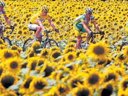 Los ciclistas del Phonak protegen a su líder (en el centro) entre un mar de girasoles.