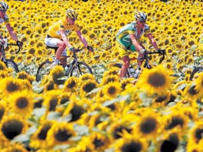 Los ciclistas del Phonak protegen a su líder (en el centro) entre un mar de girasoles.