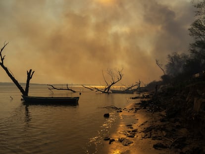 El fuego avanza sobre el cauce del río Paraná, el 29 de julio de 2021.