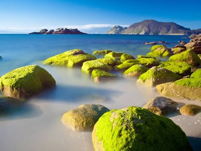 Las islas Cíes, a la entrada de la ría de Vigo, en el parque natural de las Islas Atlánticas.