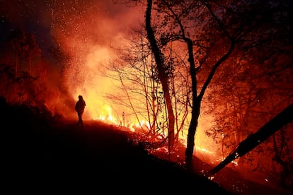 Un bombero intenta sofocar el incendio en Piedrafita (Asturias), el viernes.