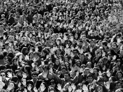 Manos blancas por Francisco Tomás y Valiente en el campus de la Universidad Autónoma en 1996.