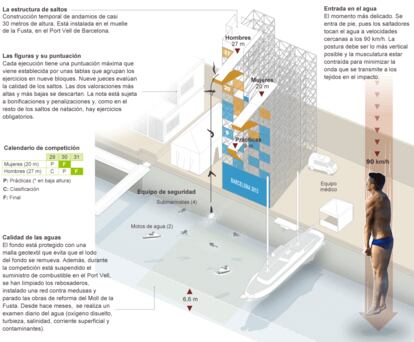 Fuentes: FINA, Barcelona 2013 y Red Bull Cliff Diving.