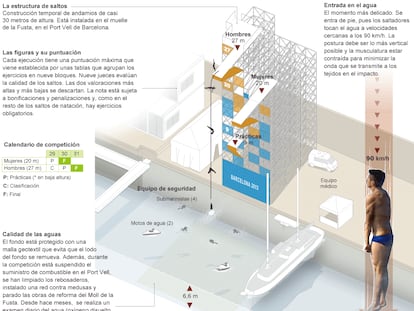 Fuentes: FINA, Barcelona 2013 y Red Bull Cliff Diving.