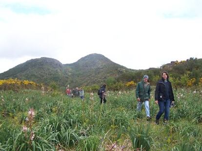 Ecologistas en el Coto de Eiras (Pontevedra), donde la Xunta acaba de autorizar un parque eólico.