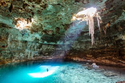 Por cenotes se conoce en México a cuevas formadas durante la última glaciación y cubiertas por el mar tras la fusión de los hielos. Son una atracción turística y un lugar frecuentado por buceadores expertos. Entre los 3.000 que horadan el subsuelo calizo de la península mexicana de Yucatán destacan el Gran Cenote (en la carretera que une Cobá con Tulum), el de X’keken o Dzitnup (cerca de Valladolid), el de Ik-il, en Chichén Itzá, y el cenote Calavera, en Tulum. Más información: <a href="https://www.visitmexico.com/es" target="_blank">www.visitmexico.com</a>