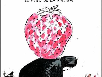 El Roto