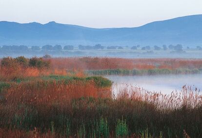 El Parque Nacional de Daimiel tiene 1928 hectáreas y un terreno prácticamente chato. Su punto más bajo se da en el cauce del río Guadiana, entre 603 y 604 metros. El máximo, a 610 metros en la isla del Pan. Se trata de uno de los últimos representantes climáticos a nivel internacional de los ecosistemas acuáticos conocidos como tablas fluviales bajo clima mediterráneo.