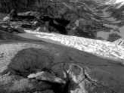 b sin num / sin fecha - P A R A Q U A D E R N- escaneada del libro "Fauna del Pallars Sobirà" de Jordi Canut, ed. Enciclopedia Catalana. Foto de Juan M. Borrero