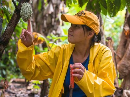 Mayumi Ogata, con uno de los cacaos blancos de Gladys Villafaña.