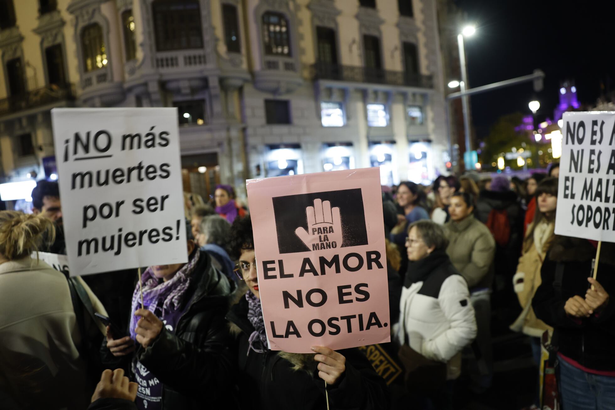 Las manifestaciones del 25-N por el Día Internacional contra la ...