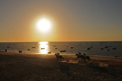 Caballos en la famosa carrera que se celebra cada verano en la playa de la localidad gaditana. 