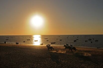 Caballos en la famosa carrera que se celebra cada verano en la playa de la localidad gaditana.