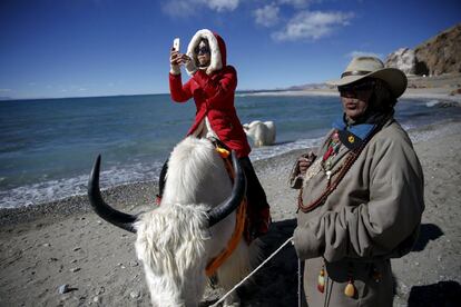 Un turista toma fotografías montada en un Yak en el lago tibetano de Namtso, Región Autónoma del Tibet. Ubicado a cuatro horas en coche de Lhasa a una altitud de alrededor de 4,718m ( 15,479 pies) sobre el nivel del mar, Namtso lago no sólo es el lago de agua salada más alta del mundo , sino también considerado sagrado , que atrae a multitudes de devotos y peregrinos .