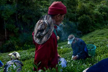 A principal atração da cidade de Doi Ang Khan é o Royal Agricultural Station Garden, um complexo de agricultura voltado para a visitação turística que exibe um belo conjunto de jardins e plantações que podem ser visitados diariamente com entrada no valor de 50 thai baht (5 reais). As acomodações são poucas e um simples quarto de hotel privativo com banheiro sai por 500 thai baht (50 reais). Do pequeno centro do vilarejo é possível chegar de carro ou moto às plantações de chá em cerca de 15 minutos.