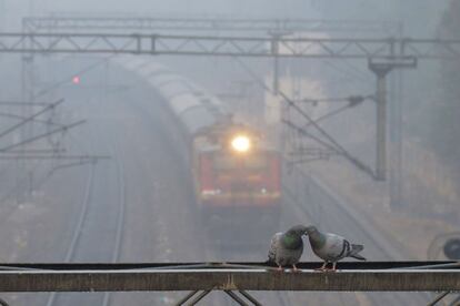 Un tren circula a través de una densa niebla cerca de la estación de Amritsar (India).