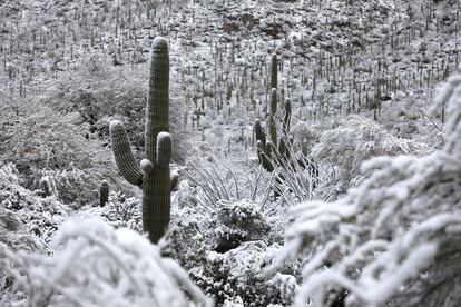 Las autoridades han dicho que se espera que una nueva tormenta invernal traiga importantes cantidades de nieve a algunas áreas del Estado a partir del miércoles por la noche. Se estima que este fenómeno meteorológico dure hasta finales de la próxima semana. En la imagen, la sierra de Santa Catalina cubierta de nieve.  