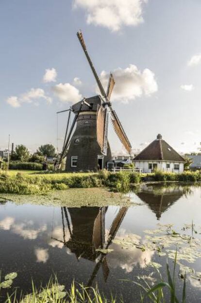 El molino de Stadsmolen, en Leiden.