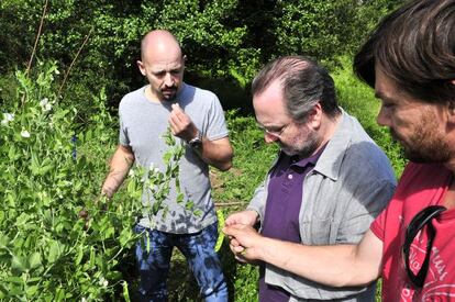 Santiago P&eacute;rez, primero por la derecha, muestra la cosecha de guisante l&aacute;grima a los cocineros Pedro Roca e I&ntilde;aki Bretal.